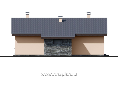 Проекты домов Альфаплан - «Дельта» - проект одноэтажного дома с террасой, в скандинавском стиле - превью фасада №3