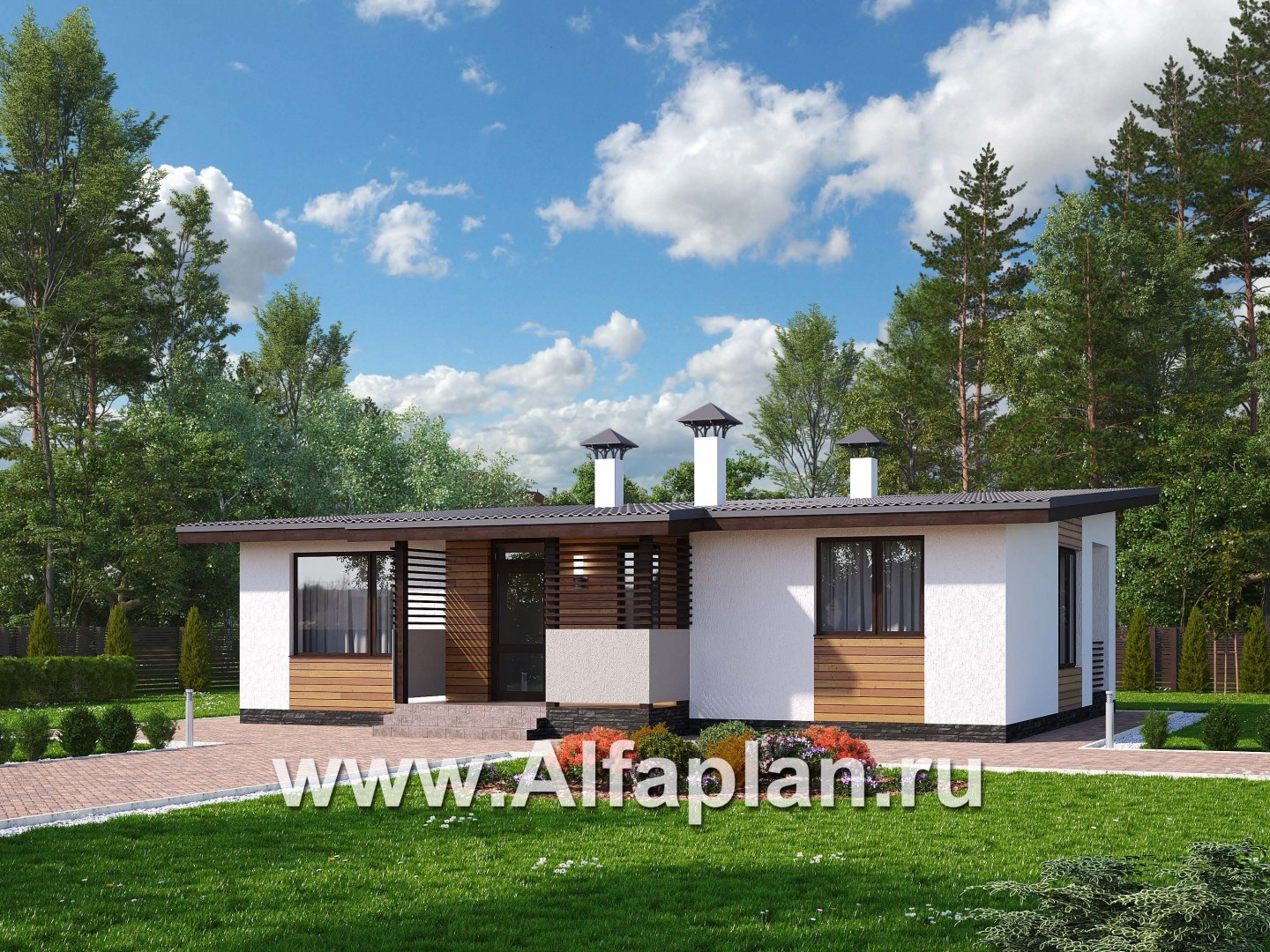 «Зита» -  проект одноэтажного дома, с террасой, в скандинавском стиле - основное изображение