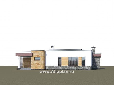 Проекты домов Альфаплан - «Ниагара» - современный одноэтажный коттедж с плоской кровлей - превью дополнительного изображения №2