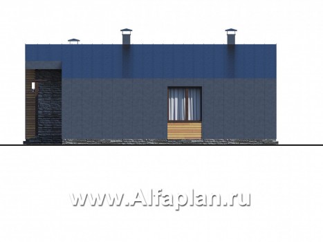 «Альфа» - проект одноэтажного каркасного дома, с сауной и с террасой - превью фасада дома