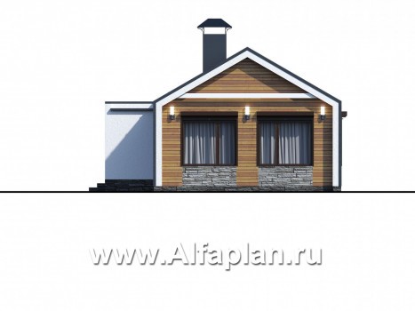 Проекты домов Альфаплан - «Тета» - одноэтажный дом с фальцевыми фасадами и кровлей - превью фасада №4